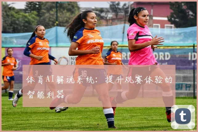 体育AI解说系统：提升观赛体验的智能利器
